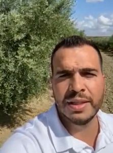 MOMENTOS PANUVEG: Olivar superintensivo en secano